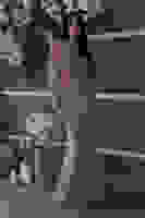 Gold Kayık Yaka Simli Uzun Kol Abiye 9705266.122 Gold