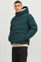 Zümrüt Logo Baskili Kapüsonlu Puffer Mont 77724K12238849.123 